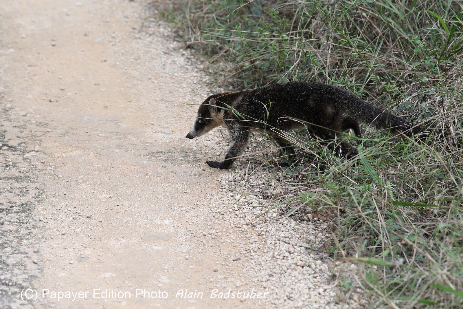 Deuxième séjour à Sarteneja, Bélize, Novembre - Décembre 2021