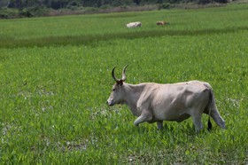 Portal_Paraiso_2_053.jpg