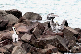 Punta Culebra Nature Center