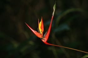 _MG_4329.JPG