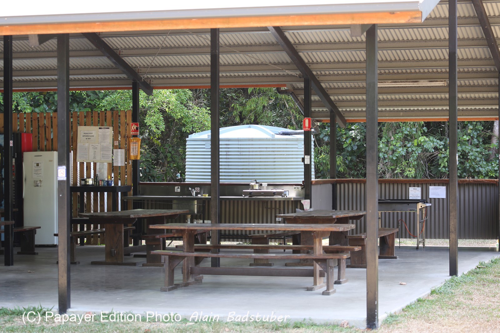Cape-Trib_1274.JPG