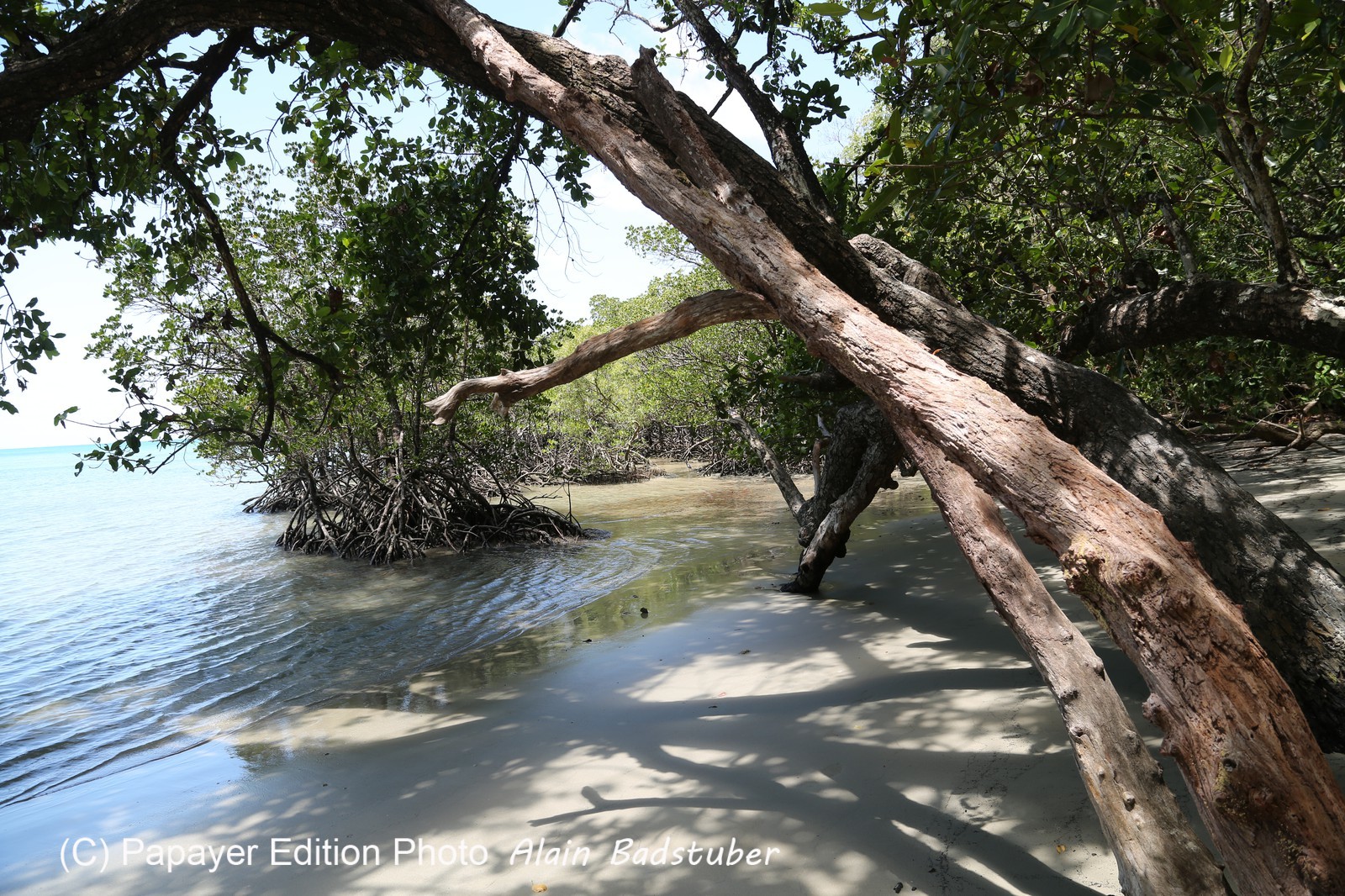 Cape-Trib_1637.JPG