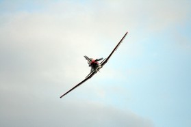 IMG_2226