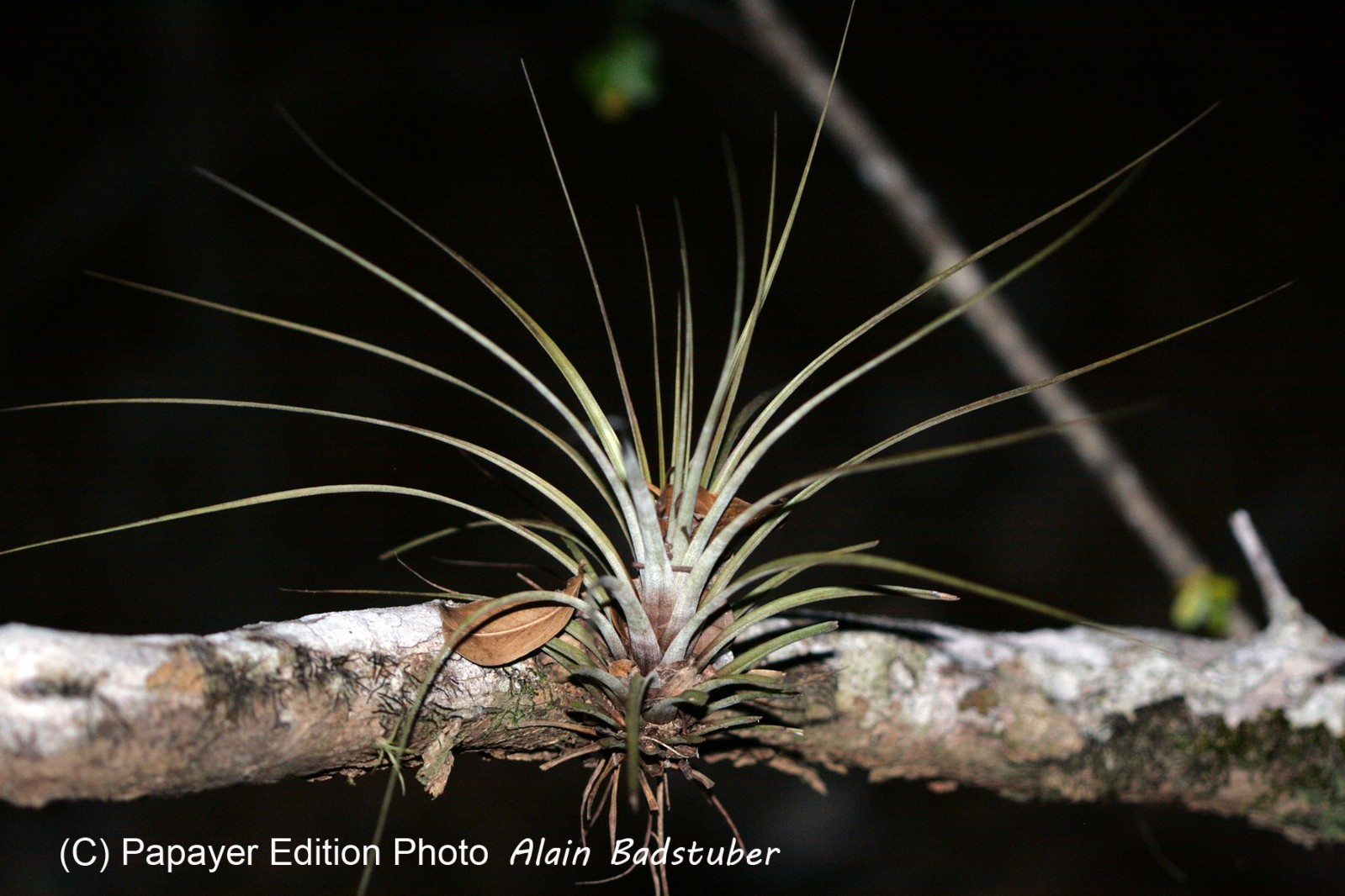 Images_Belize_2011_292