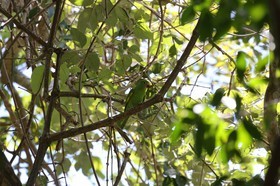 Portal_Paraiso_2_092.jpg