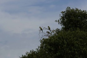 Portal_Paraiso_2_074.jpg