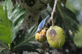 _MG_5024.JPG
