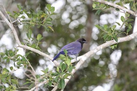 Portal_Paraiso_1_044.jpg