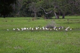 Portal_Paraiso_2_076.jpg