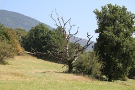 Chassagne_067.JPG