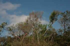 IMG_8137.JPG