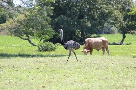 Portal_Paraiso_2_094.jpg