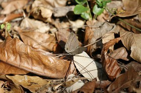 _MG_0047.JPG