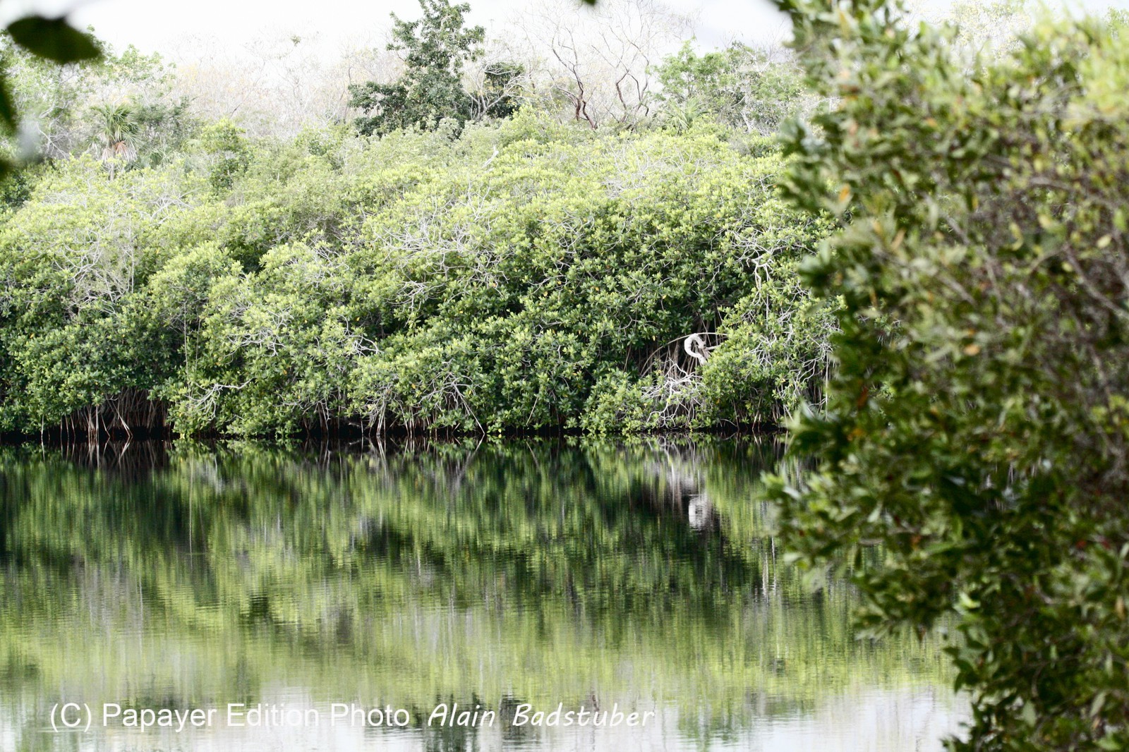Cenotes_11-04-12_02.jpg