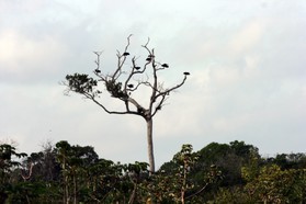 Images_Belize_2011_011