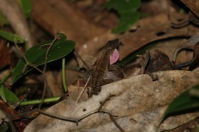 _MG_7151.JPG
