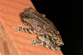 IMG_9794.JPG
