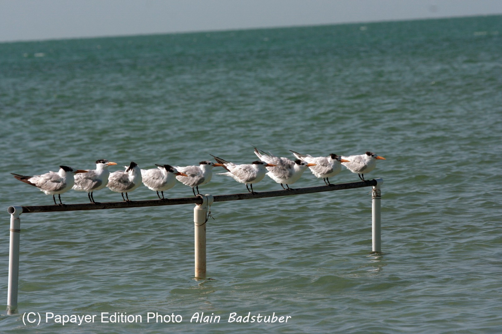 Images_Belize_2011_382