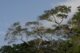 _MG_5177.JPG
