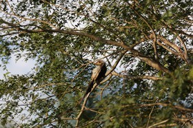 Portal_Paraiso_1_036.jpg