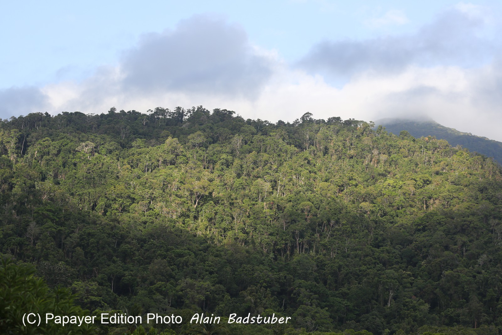 Cape-Trib_0716.JPG