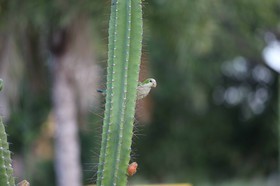 Portal_Paraiso_2_035.jpg