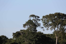 Portal_Paraiso_2_081.jpg