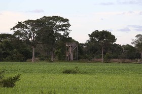 Portal_Paraiso_2_033.jpg