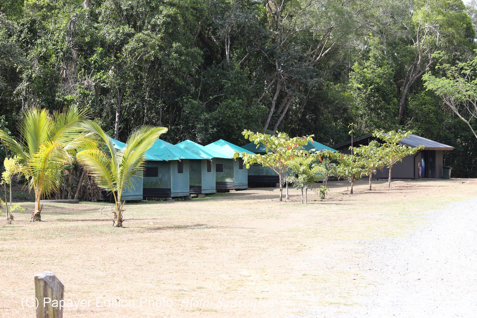 Cape-Trib_1270.JPG