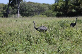 Portal_Paraiso_2_087.jpg