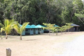 Cape-Trib_1270.JPG