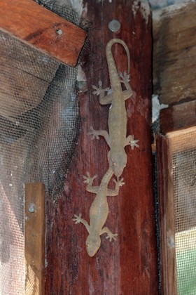 Images_Belize_2011_400