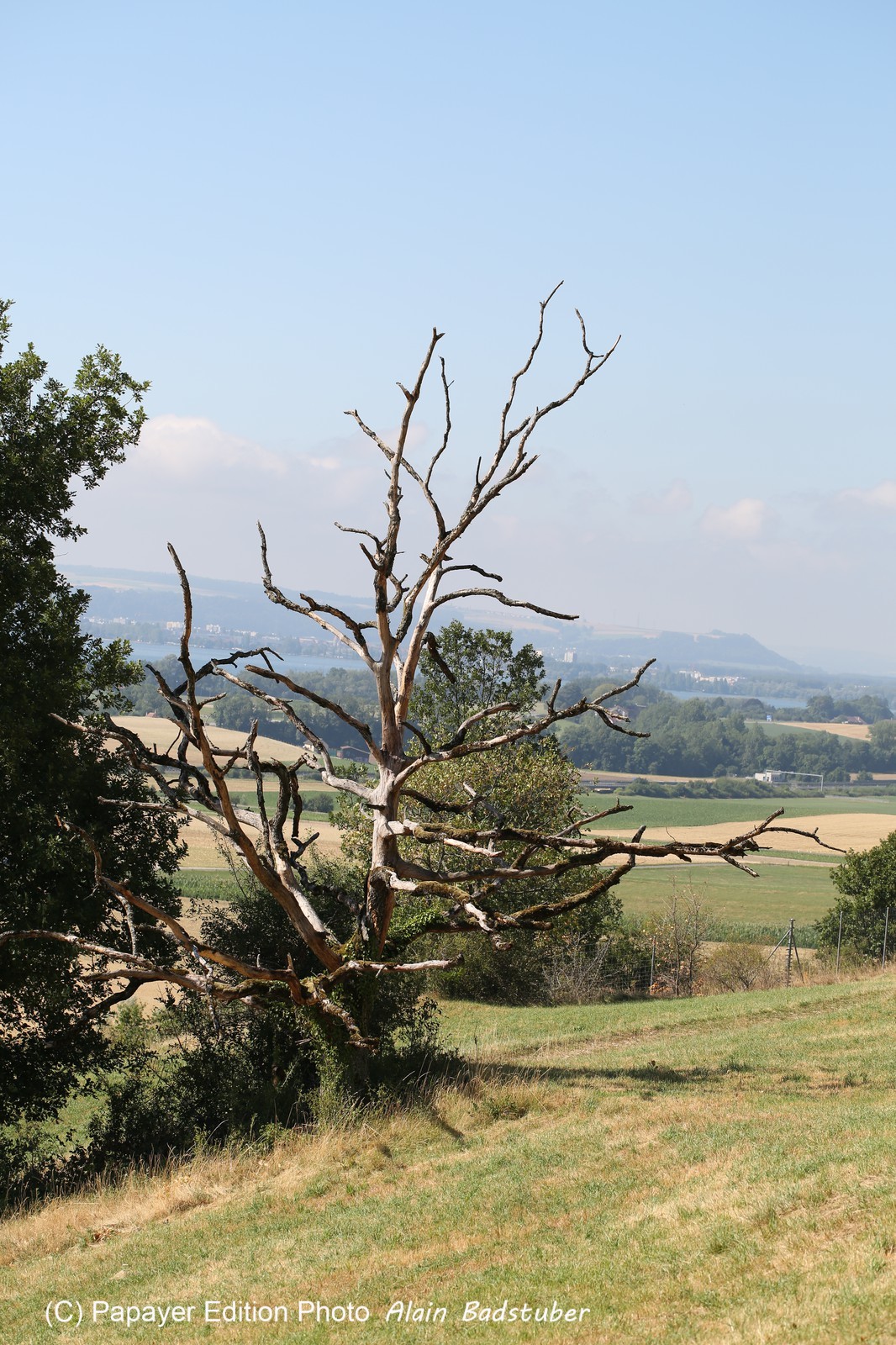 Chassagne_054.JPG