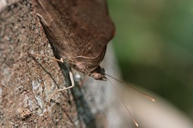 IMG_7965.JPG