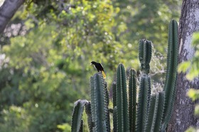 Portal_Paraiso_2_030.jpg