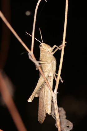 IMG_8051.JPG