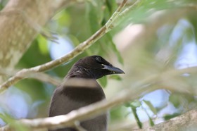 Portal_Paraiso_2_049.jpg