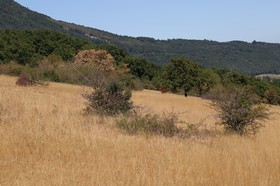 Chassagne_119.JPG