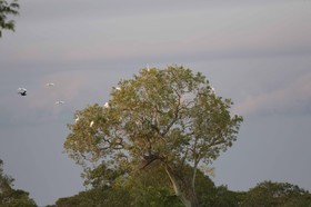 Portal_Paraiso_2_060.jpg