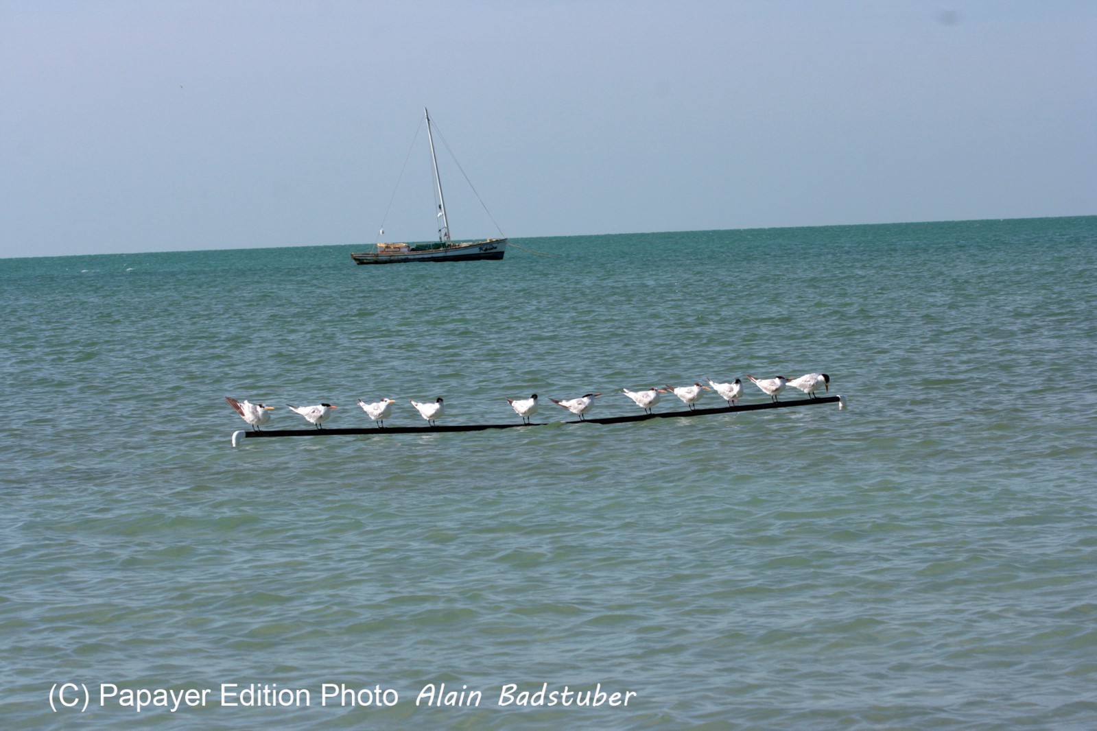 Images_Belize_2011_381
