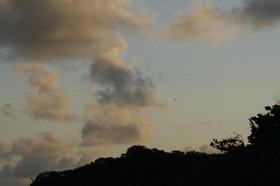 _MG_4066.JPG