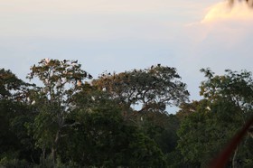 Portal_Paraiso_1_035.jpg