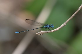 IMG_7980.JPG