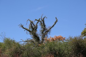 Chassagne_124.JPG