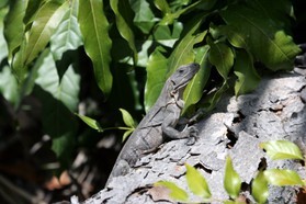 Images_Belize_2011_182