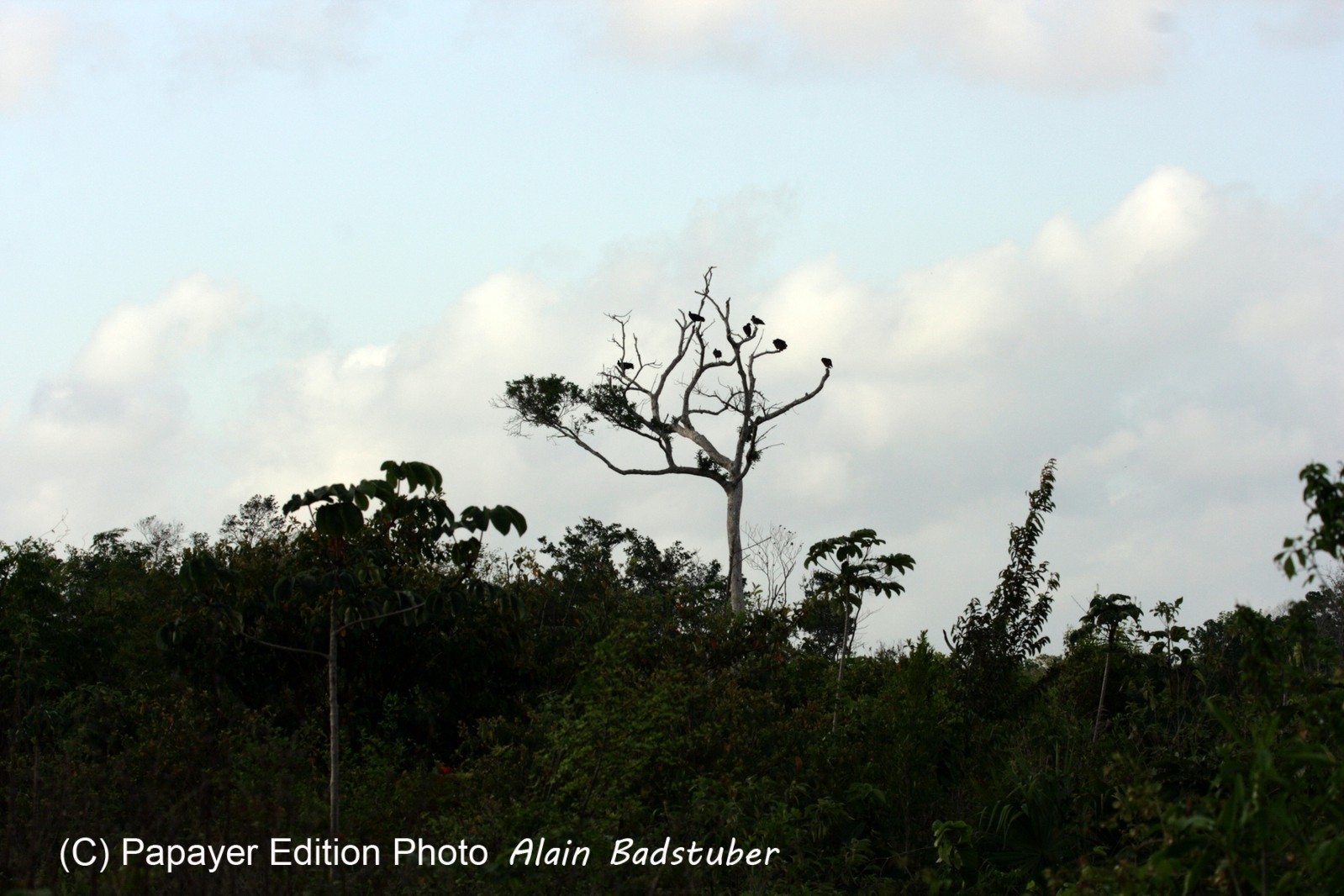 Images_Belize_2011_012