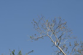 _MG_0179.JPG