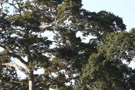 Portal_Paraiso_2_103.jpg