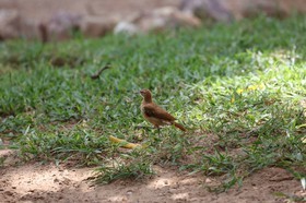 Portal_Paraiso_2_051.jpg