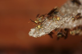 IMG_8135.JPG